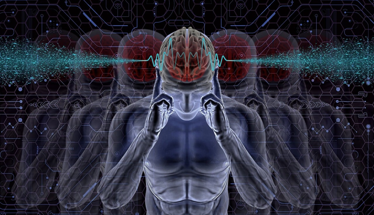 Wealth Signal Audio business image in New York, New York